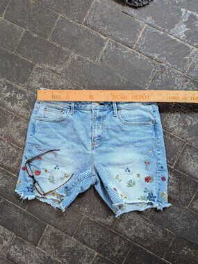 Driftwood Lulu embroidered blue denim jean shorts cut offs, size 27